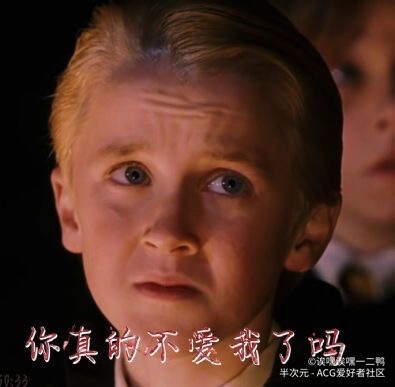 哈利波特表情包