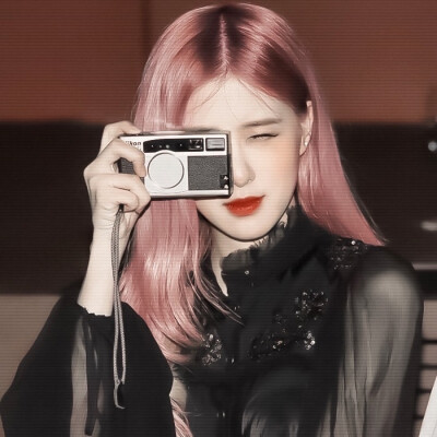  野玫瑰也会开花 