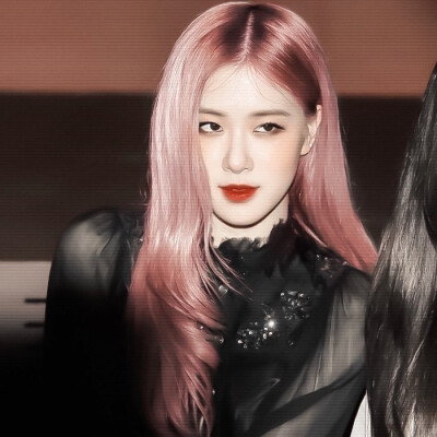  野玫瑰也会开花 