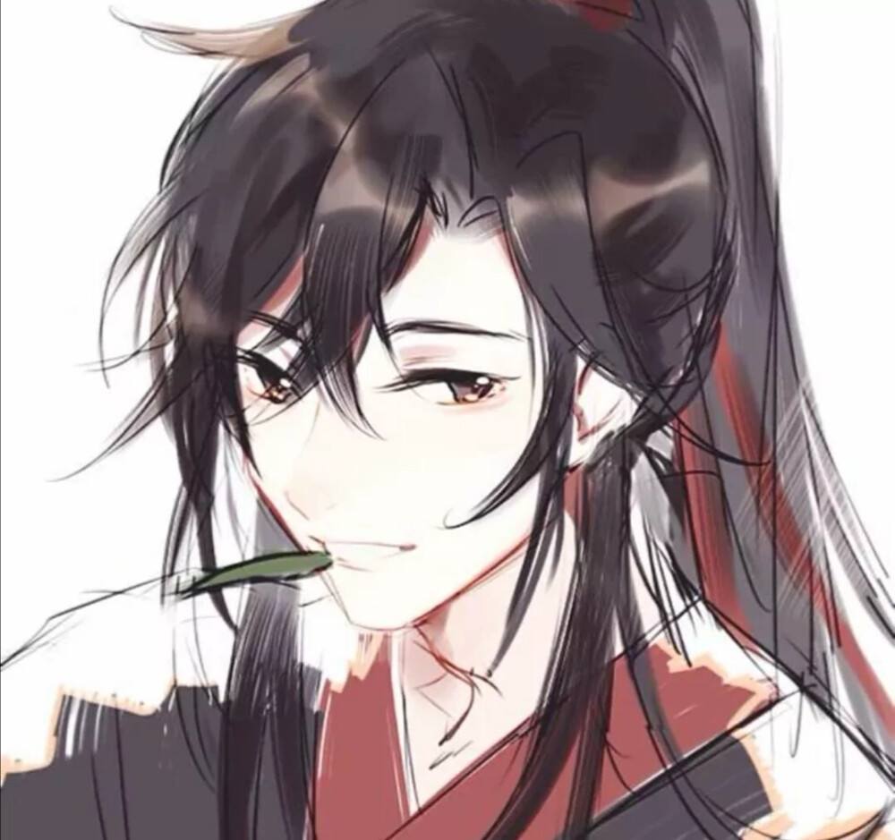 魔道祖师 魏无羡头像 动漫