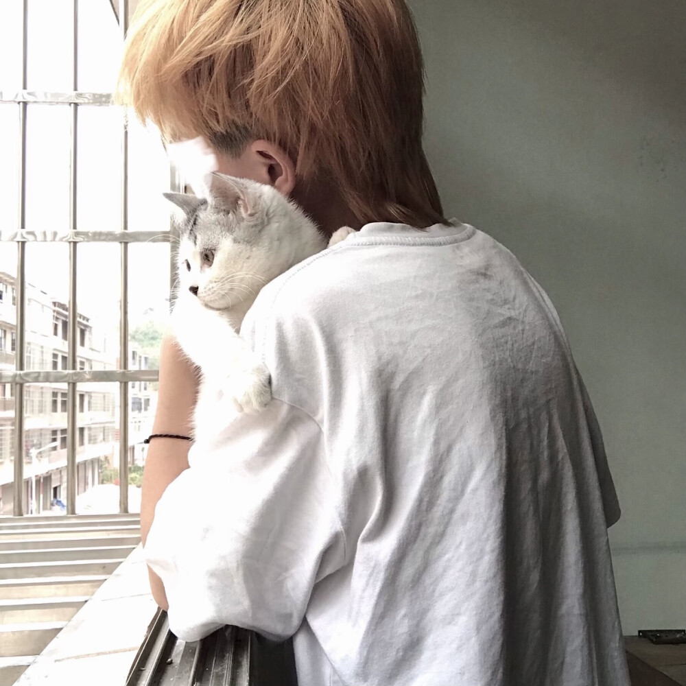 二传注明堆糖林宇婧