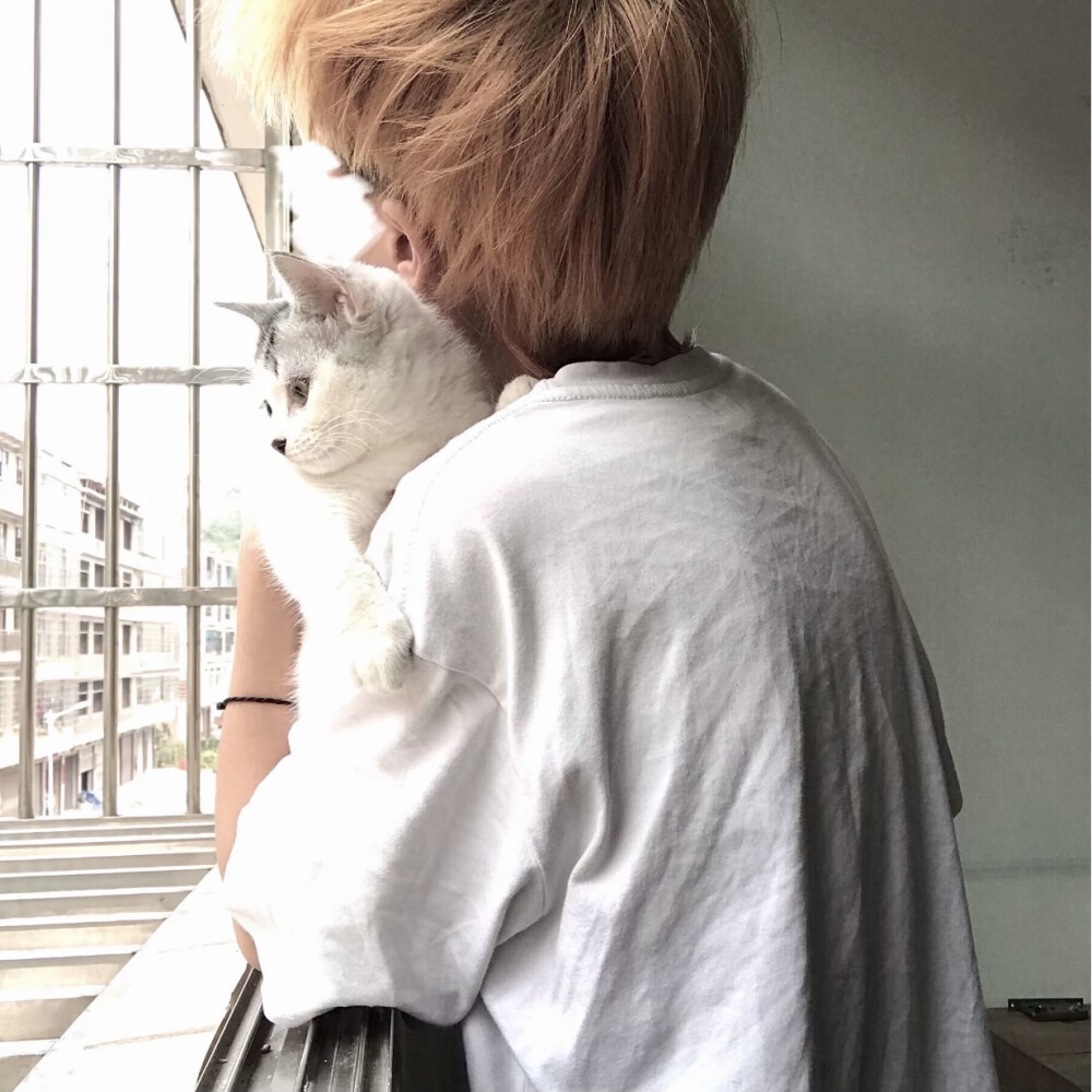 二传注明堆糖林宇婧