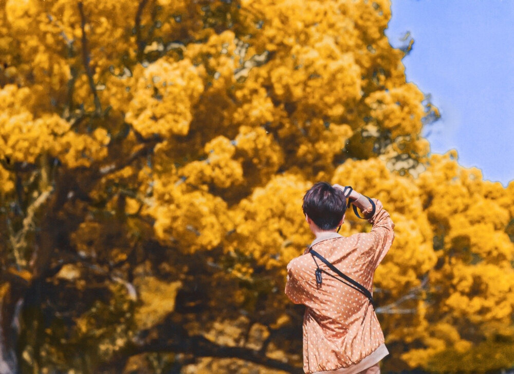 王俊凯 壁纸