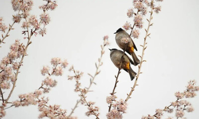 两情相悦