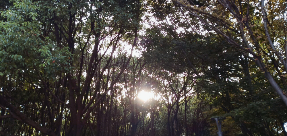 —十八岁的天空-- ♡ Y 洁 ❤