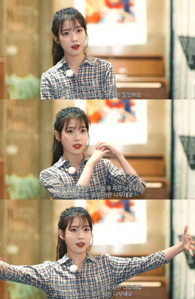 IU | 树啊树啊
cr:边五爷