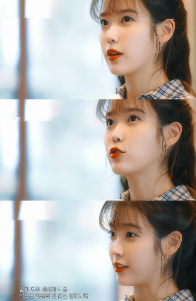 IU | 树啊树啊
cr:边五爷