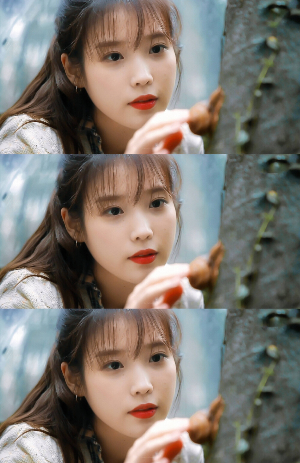 IU | 树啊树啊
cr:边五爷