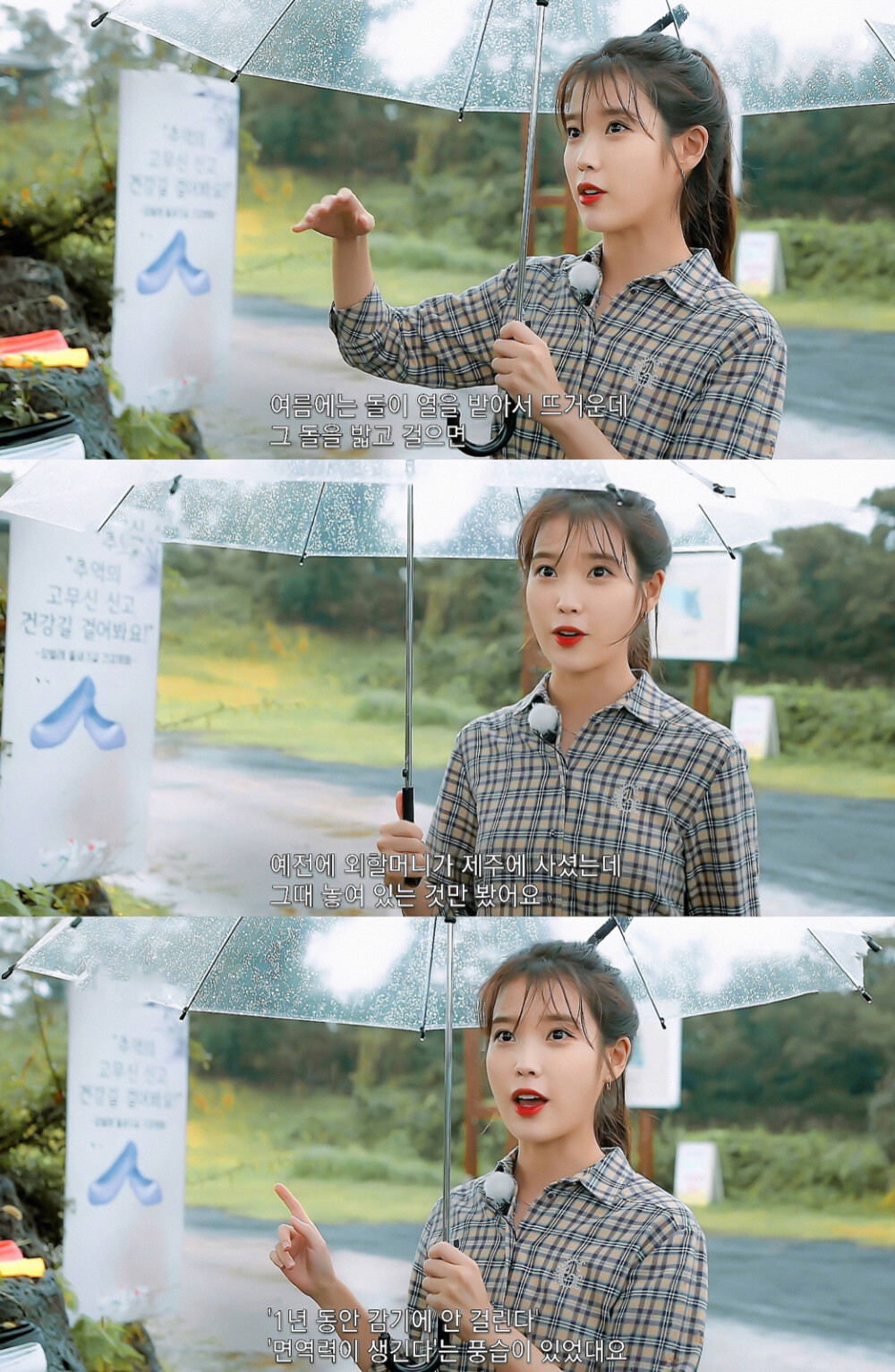 IU | 树啊树啊
cr:边五爷