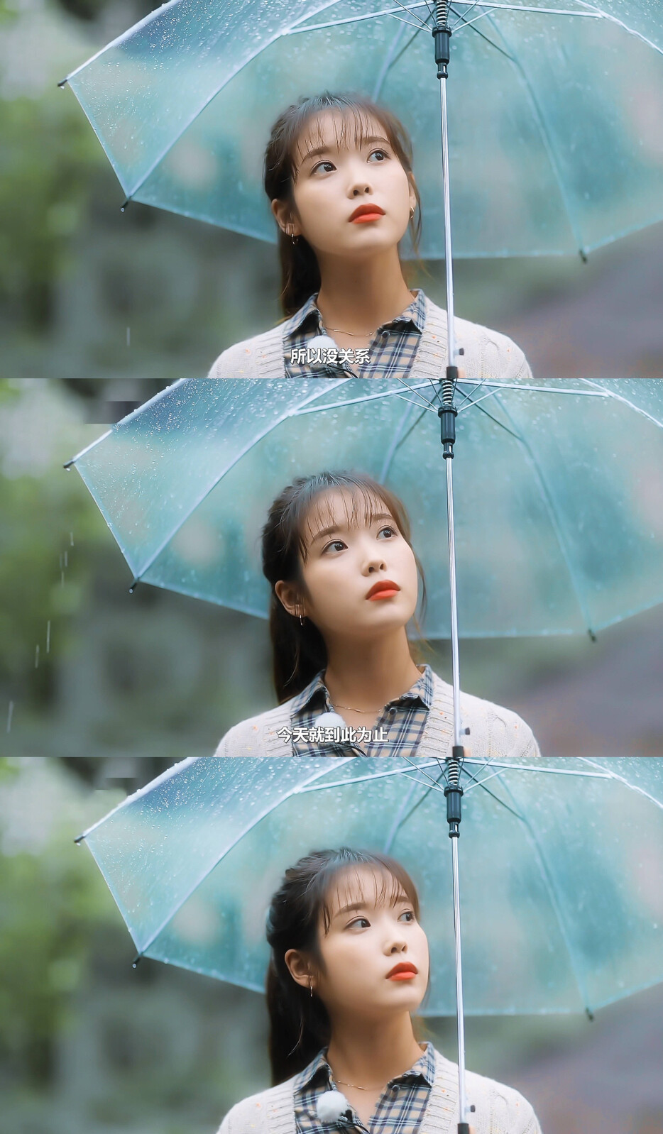 IU | 树啊树啊
cr:边五爷