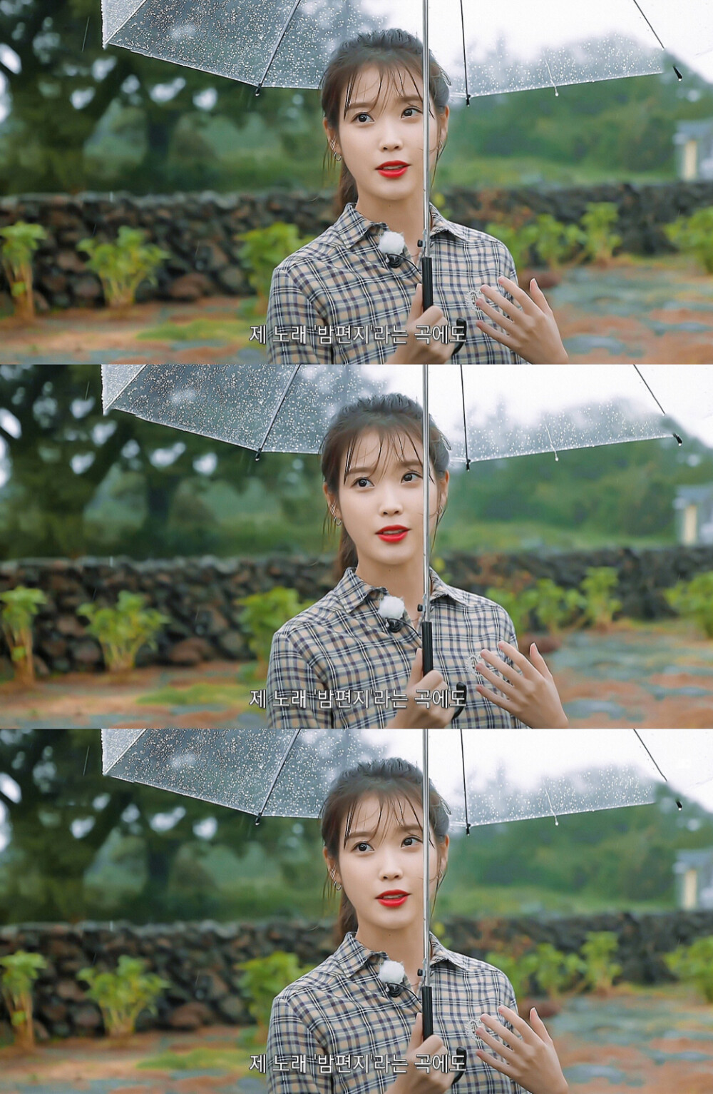 IU | 树啊树啊
cr:边五爷