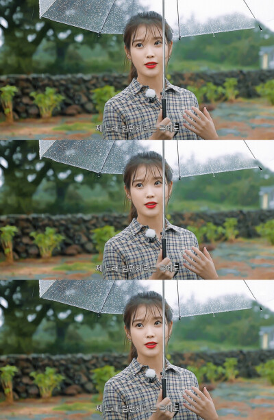 IU | 树啊树啊
cr:边五爷