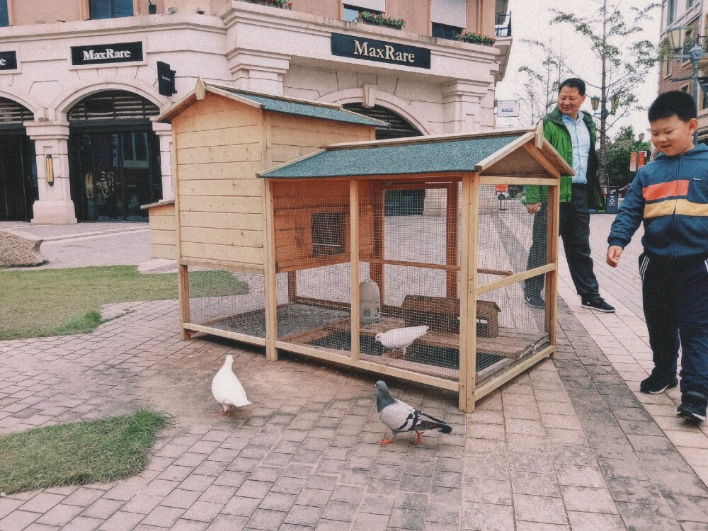 “祝我们都能在鸡零狗碎里找到闪闪的快乐。”