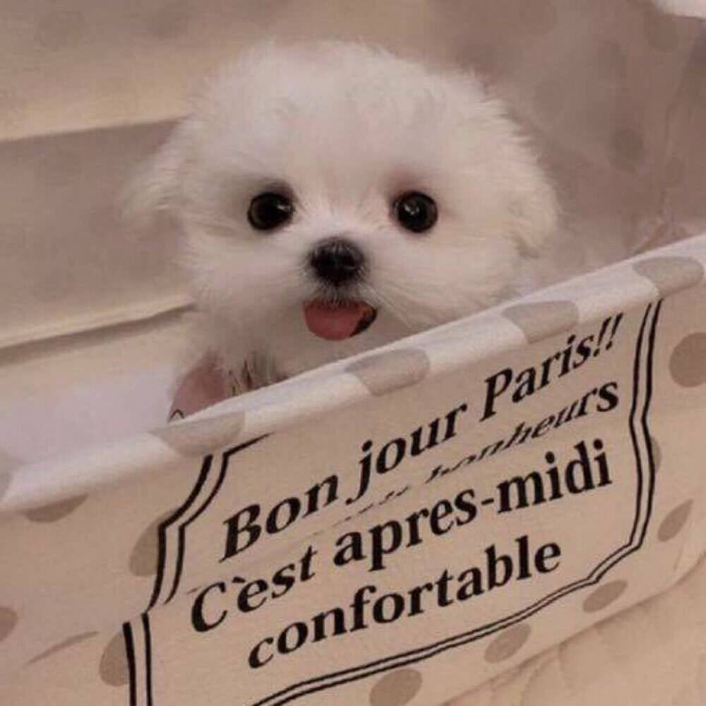 戳赞这组搞怪头像 你将会超级大翻身 好运爆棚 ​​​