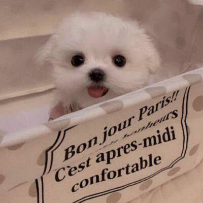 戳赞这组搞怪头像 你将会超级大翻身 好运爆棚 ​​​