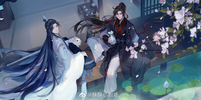 MDZS