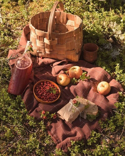 好天气，在野餐毯上读一本轻松的书，本身是愉悦的享受，把书拍下来，同样是美好的瞬间。