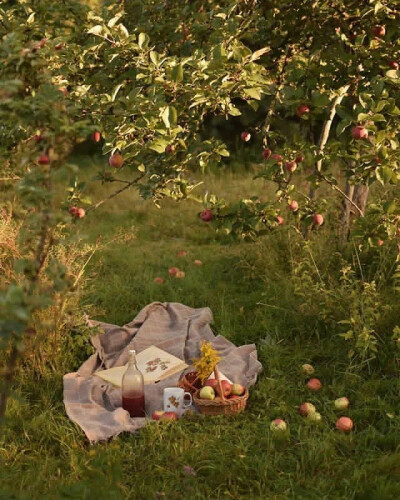 好天气，在野餐毯上读一本轻松的书，本身是愉悦的享受，把书拍下来，同样是美好的瞬间。