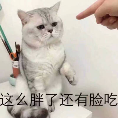 又胖啦