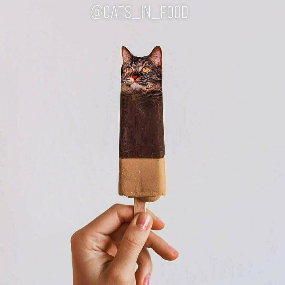 Cats in Food