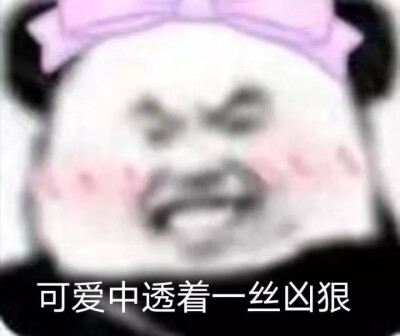 表情包