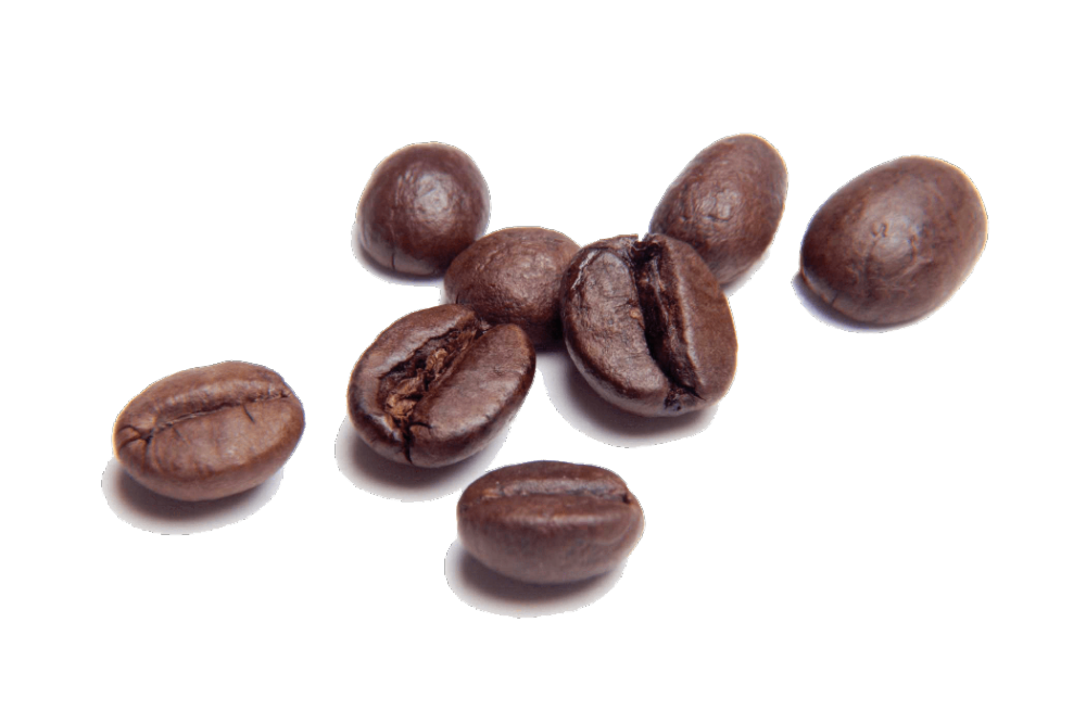食物 咖啡豆