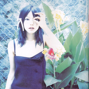 槐花开于电子屏