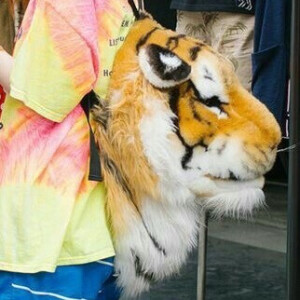 槐花开于电子屏