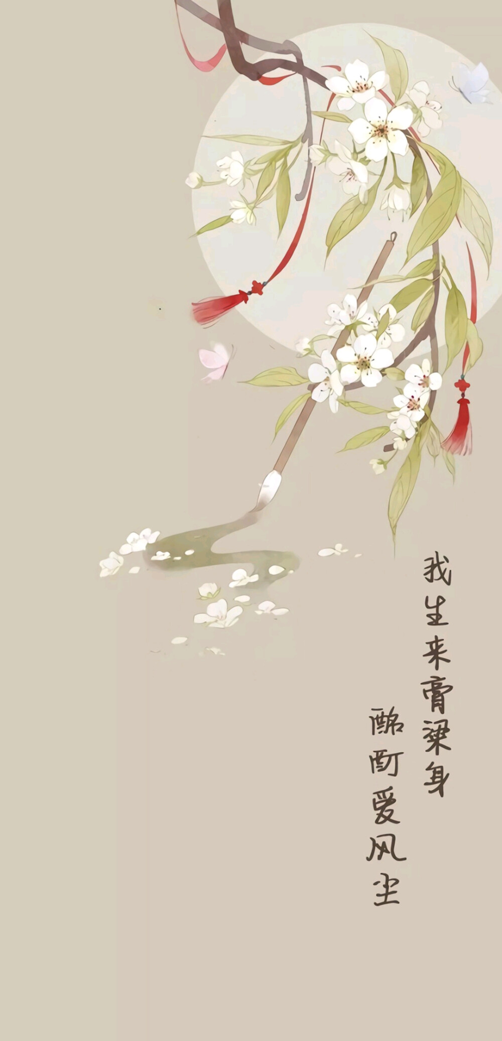 壁纸