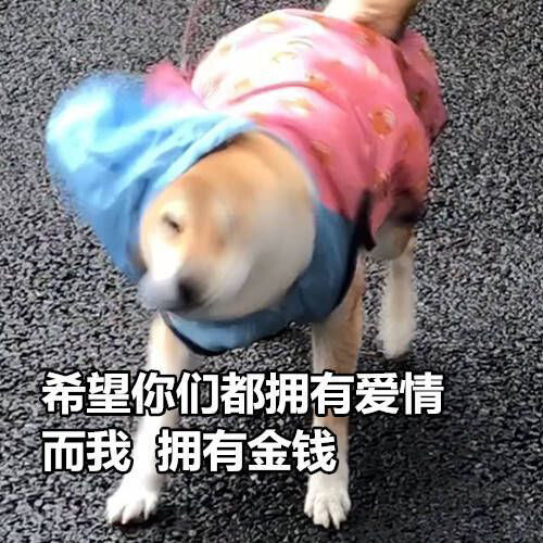 表情包