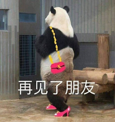 表情包