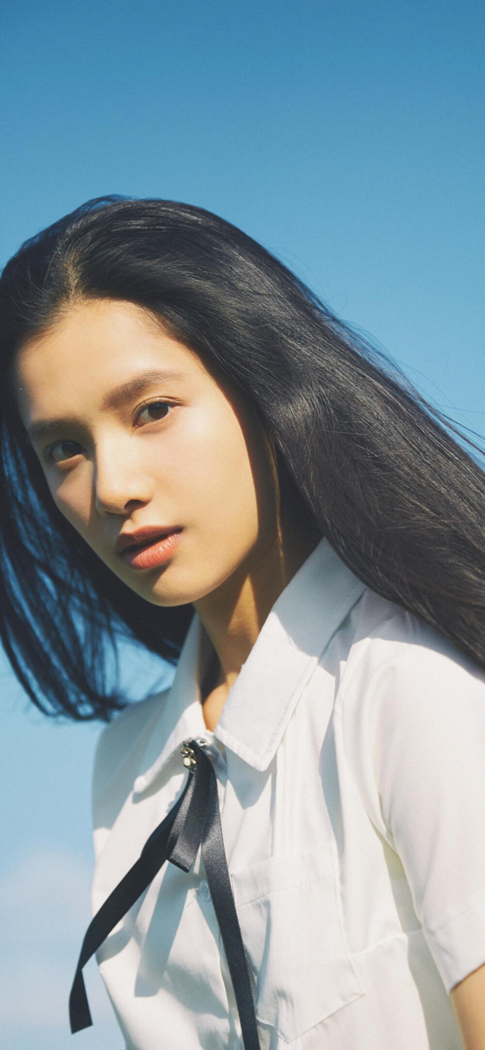 张婧仪 风犬少年的天空