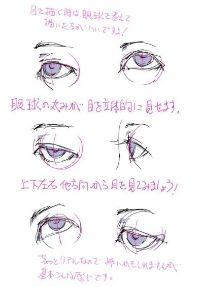 眼睛结构
