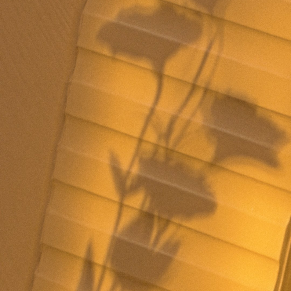 ᴵⁿ ᵗʰᵉ ᶠᵘᵗᵘʳᵉ, ʷᵉ ʷⁱˡˡ ᶜᵒⁿᵗⁱⁿᵘᵉ ᵗᵒ ˡⁱᵛᵉ ʷⁱᵗʰ ʷᵃʳᵐᵗʰ .
未来的日子还是继续与温暖为邻。 ​​