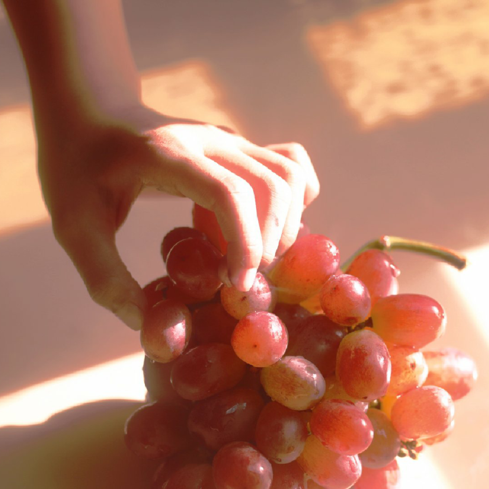 ᴵⁿ ᵗʰᵉ ᶠᵘᵗᵘʳᵉ, ʷᵉ ʷⁱˡˡ ᶜᵒⁿᵗⁱⁿᵘᵉ ᵗᵒ ˡⁱᵛᵉ ʷⁱᵗʰ ʷᵃʳᵐᵗʰ .
未来的日子还是继续与温暖为邻。 ​​