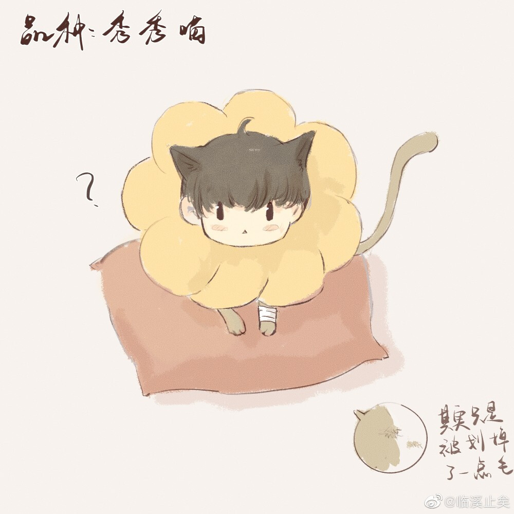 男团和他的猫
画师lof：临溪止矣