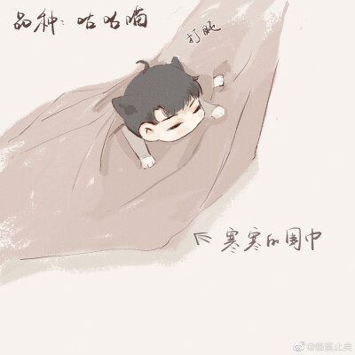 男团和他的猫
画师lof：临溪止矣