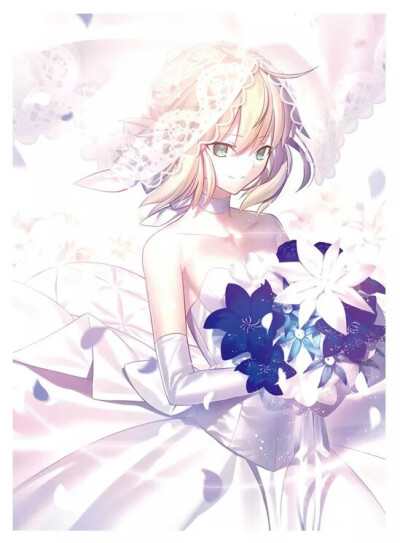 saberLily，蓝saber，黑saber。嘻嘻嘻(♡˙︶˙♡)我爱王！王懂我懂王系列