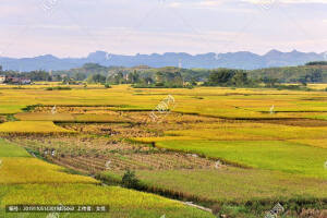 风景