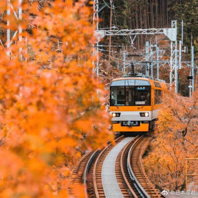 日本秋景