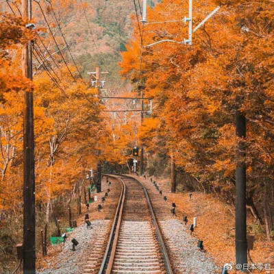 日本秋景