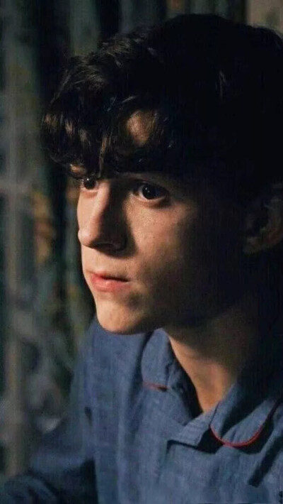 荷兰弟 汤姆赫兰德