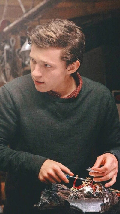 荷兰弟 汤姆赫兰德