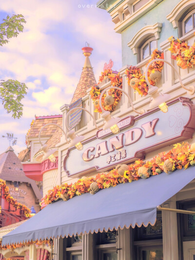 云朵说，暖暖的阳光，我帮你存好了•͈ᴗ•͈ ☀️
「上海.迪士尼.pad壁纸」
©overwater