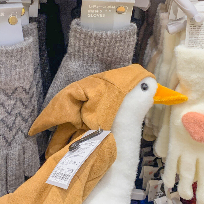 今日份可可爱爱~