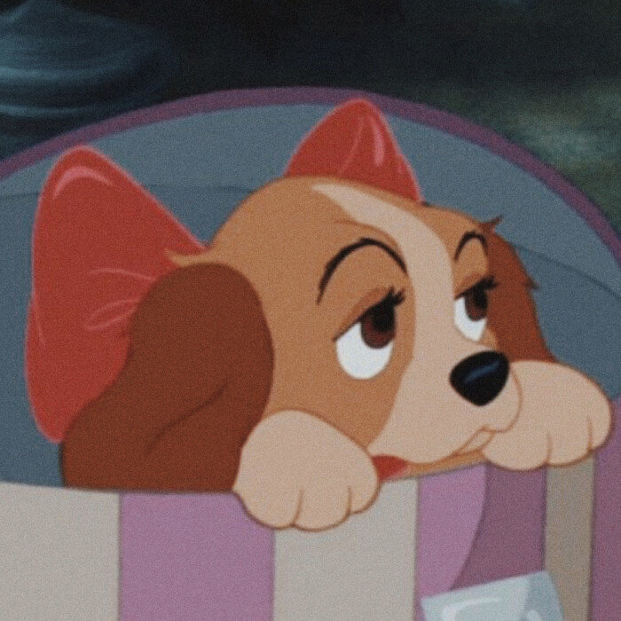 今日份可可爱爱~