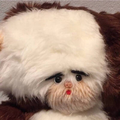 今日份可可爱爱~