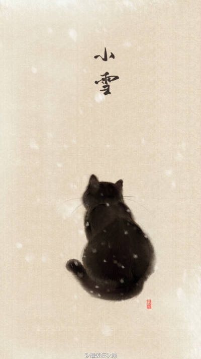 猫猫壁纸 二十四节气 小雪