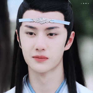 《陈情令》【蓝忘机】王一博