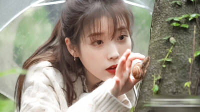 IU | 树啊树啊
cr:·春日思归·